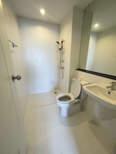 เดอะ ทรี อินเตอร์เชนจ์ / The Tree Interchange