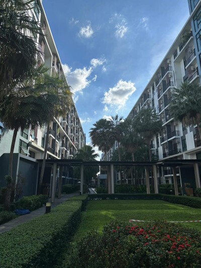 อัพเดทล่าสุด 6/2/2569 : ไอคอนโด สุขุมวิท 105 / iCondo Sukhumvit 105