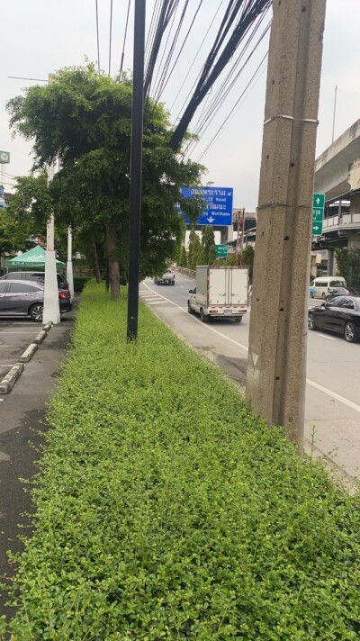 ลุมพินี วิลล์ สุขุมวิท 76 - แบริ่ง สเตชั่น / Lumpini Ville Sukhumvit 76 – Bearing Station-11