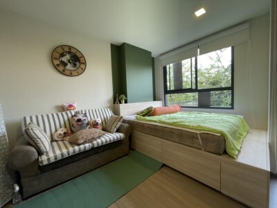 เดอะ มูฟ บางนา / The MUVE Bangna-2