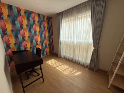 เดอะ ไลท์ นิวยอร์ค / The Light New York