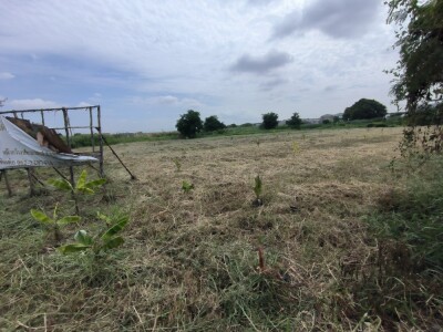 ให้เช่าที่ดิน 4 ไร่ ถนนบางนา-ตราด กม.14 เข้าซอยประมาณ 100 เมตร-5