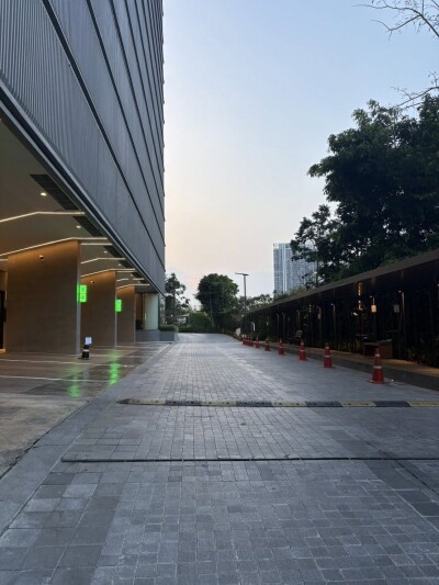 วิสซ์ดอม เดอะ ฟอเรสเทียส์ / Whizdom The Forestias-13