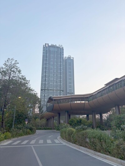 วิสซ์ดอม เดอะ ฟอเรสเทียส์ / Whizdom The Forestias-11