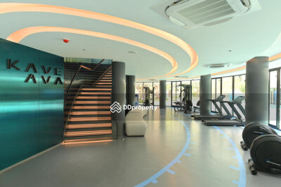 เคฟ เอวา / Kave Ava-10