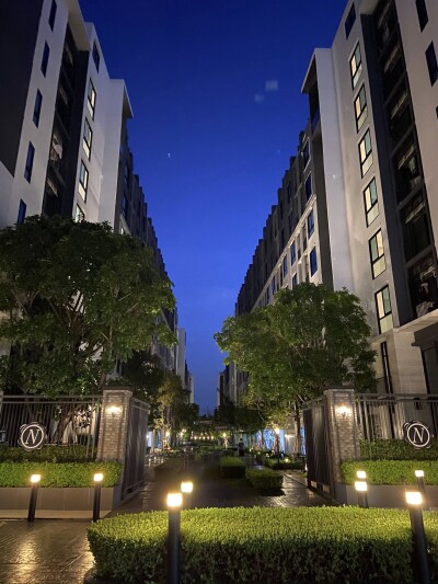 น็อตติ้ง ฮิลล์ สุขุมวิท 105 / Notting Hill Sukhumvit 105-9