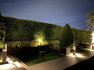 น็อตติ้ง ฮิลล์ สุขุมวิท 105 / Notting Hill Sukhumvit 105-12