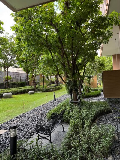 เอ็ม จตุจักร / M Jatujak