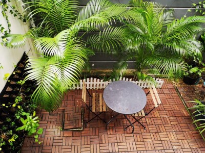 อาร์เด้น พัฒนาการ