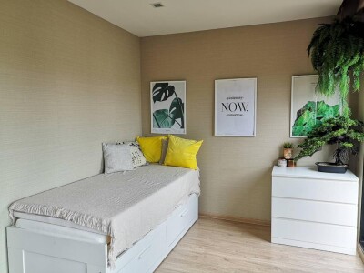 อาร์เด้น พัฒนาการ