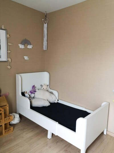 อาร์เด้น พัฒนาการ