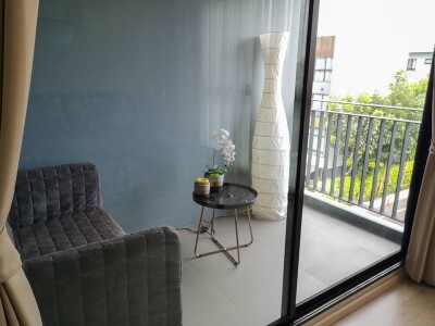 อาร์เด้น พัฒนาการ