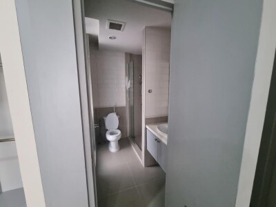 ดิ เอดิเตอร์ / The Editor