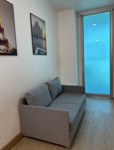 เดอะ คัลเลอร์รี่ วิวิด / The Colory Vivid