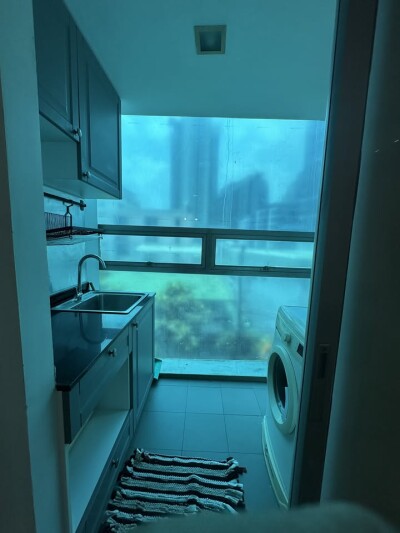 เดอะ คัลเลอร์รี่ วิวิด / The Colory Vivid