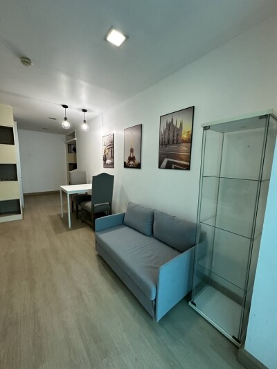 เดอะ คัลเลอร์รี่ วิวิด / The Colory Vivid