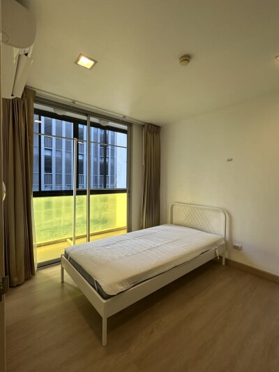 เดอะ คัลเลอร์รี่ วิวิด / The Colory Vivid