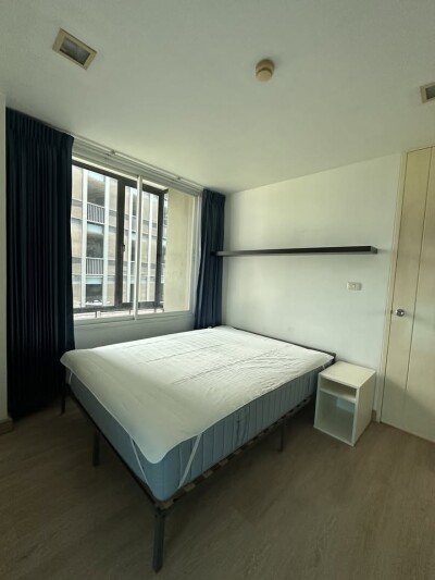 เดอะ คัลเลอร์รี่ วิวิด / The Colory Vivid