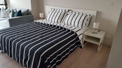 โนเบิล โซโล / Noble Solo-2