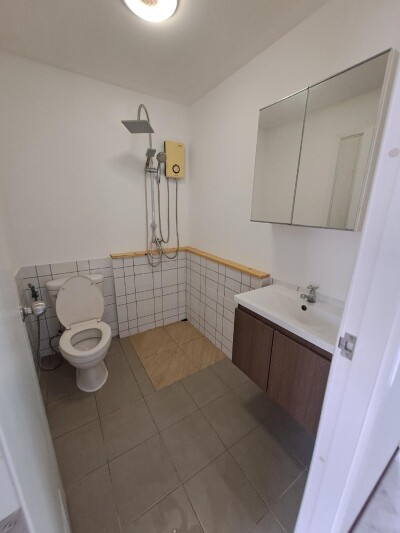 วิลเลต ไลท์ พัฒนาการ-12