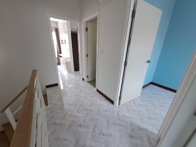 วิลเลต ไลท์ พัฒนาการ-4