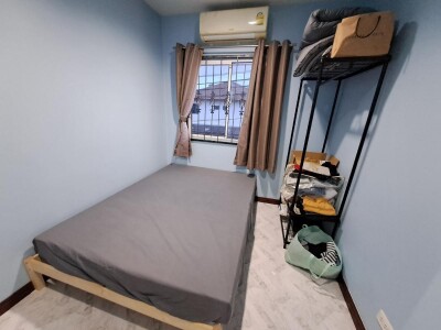 วิลเลต ไลท์ พัฒนาการ-5