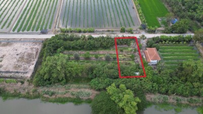 ขายที่ดินติดคลองทวีวัฒนา ที่ดิน นนทบุรี ไทรใหญ่ ไทรน้อย บางเลน นครปฐม นราภิรมย์ พุทธมณฑล-1