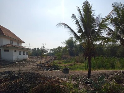 ขายที่ดินติดคลองทวีวัฒนา ที่ดิน นนทบุรี ไทรใหญ่ ไทรน้อย บางเลน นครปฐม นราภิรมย์ พุทธมณฑล-4