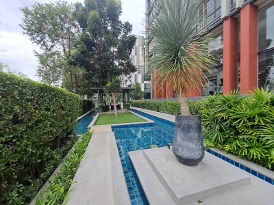 เอสต้า บลิซ / Esta Bliss-11