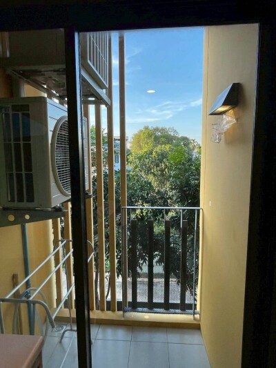 พลัมคอนโด สุขุมวิท 97.1 / Plum Condo Sukhumvit 97.1-10