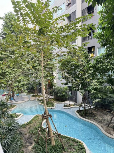 เอลลิโอ เดล มอสส์ พหลโยธิน 34 / Elio Del Moss Phaholyothin 34-10