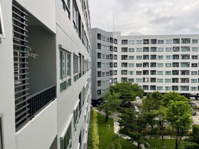 เอลลิโอ สุขุมวิท 64 / 🌊 วิวสระว่ายน้ำ ชั้นดี เงียบ สงบ ไม่ร้อน-10