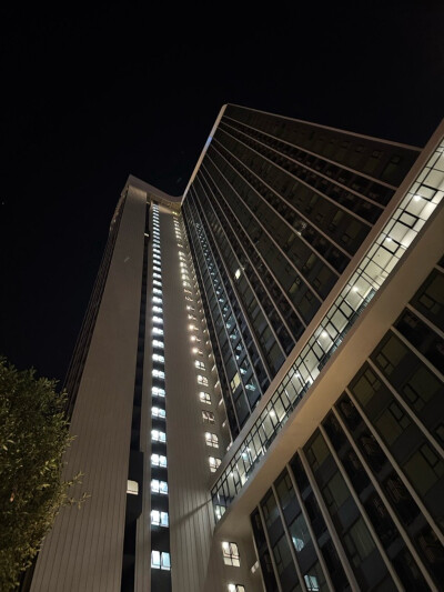 โมดิซ อาวองการ์ด / Modiz Avantgarde-3