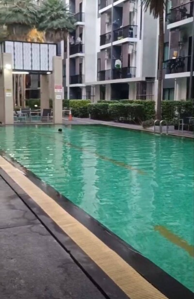 ไอคอนโด สุขุมวิท 105 / iCondo Sukhumvit 105-16