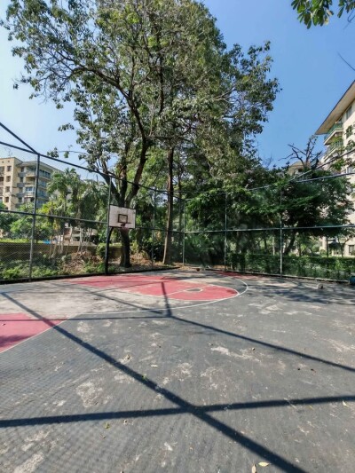 เดอะ พาร์คแลนด์ บางนา / The Parkland Bangna-13