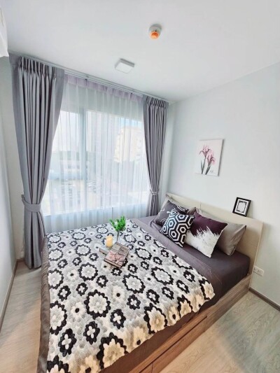 พลัมคอนโด สุขมวิท 62 / Plum Condo Sukhumvit 62