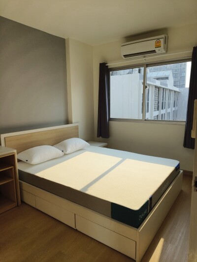 มายคอนโด สุขุมวิท 81 / My Condo Sukhumvit 81-5