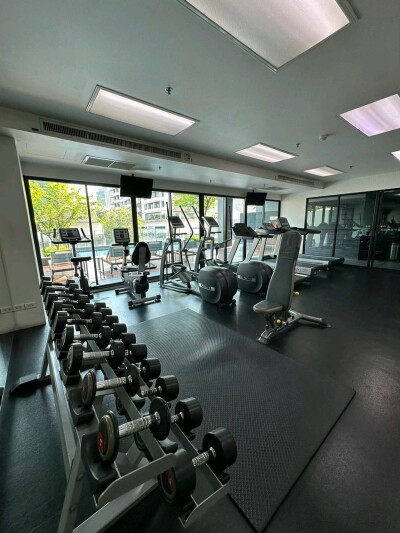 โนเบิล รีเฟลกซ์ / Noble Reflex-7