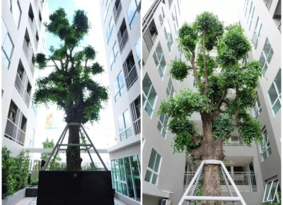 เทมโป ควอด พหลโยธิน - สะพานใหม่ / Tempo Quad Phaholyothin - Saphanmai-11