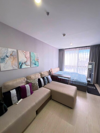 เอลลิโอ เดล เนสท์ / Elio del nest-3