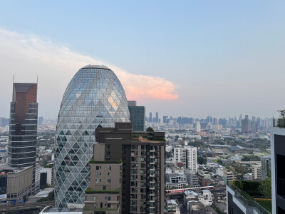 โนเบิล นิว อีโว อารีย์ / Noble Nue Evo Ari-11