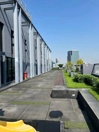 โนเบิล รีเฟลกซ์ / Noble Reflex-11