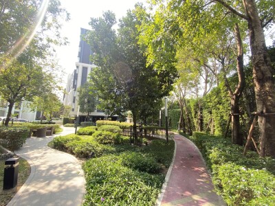 แอสปาย สุขุมวิท - อ่อนนุช / Aspire Sukhumvit - Onnut-17
