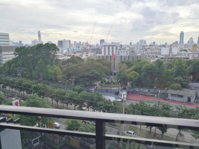 ไอวี่ แอมพิโอ / Ivy Ampio