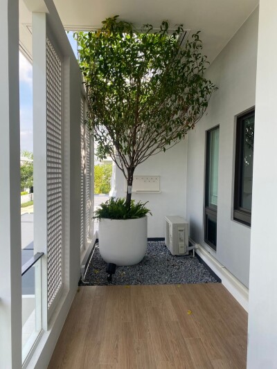 มัณฑนา บางนา กม.15 / 🏠 พื้นที่ใช้สอย: 283 ตร.ม. 🔝 จำนวนชั้น: 2 ชั้น