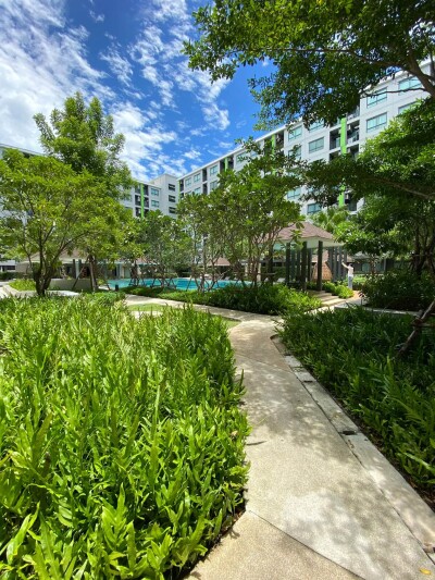 กรีเน่ ดอนเมือง - สรงประภา / Grene Donmuang - Songprapha-7