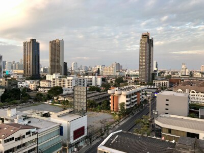 โนเบิล โซโล / Noble Solo