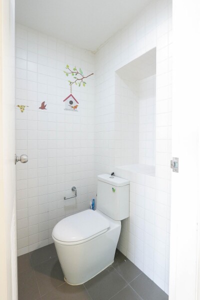 เดอะ คัลเลอร์รี่ วิวิด / The Colory Vivid-10