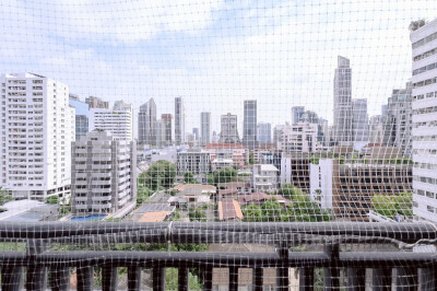 เดอะ โอเลียนเดอร์ / The Oleander-20