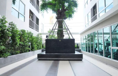 เทมโป ควอด พหลโยธิน - สะพานใหม่ / Tempo Quad Phaholyothin - Saphanmai-12